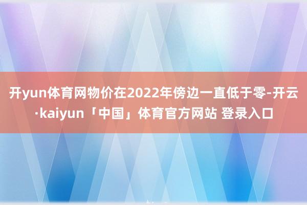 开yun体育网物价在2022年傍边一直低于零-开云·kaiyun「中国」体育官方网站 登录入口